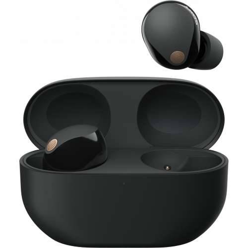 Sony WF-1000XM5 Wireless Noise Cancelling Headphones (Black)
