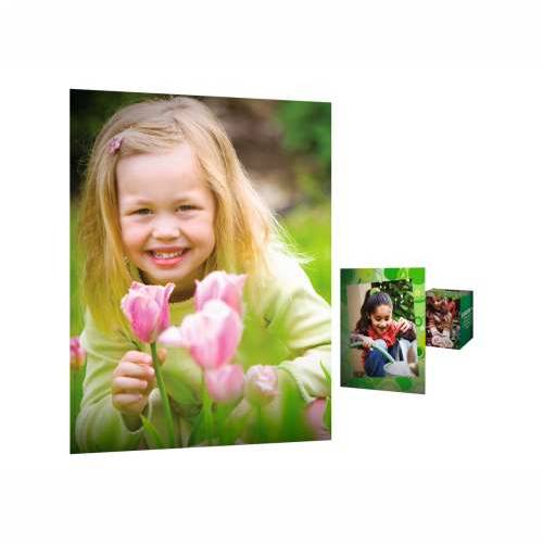HP Everyday Glossy Photo Paper A4 100 BL Cijena