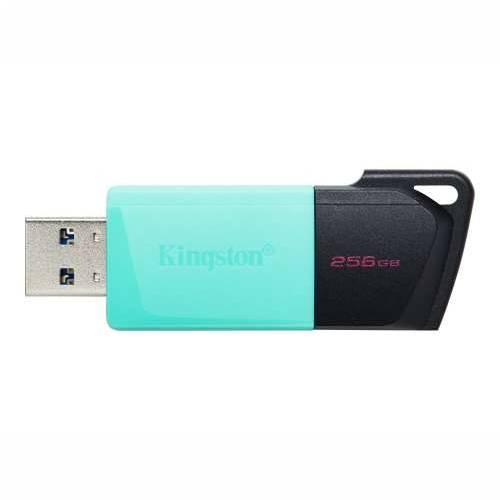 KINGSTON 256GB DataTraveler Exodia M Cijena