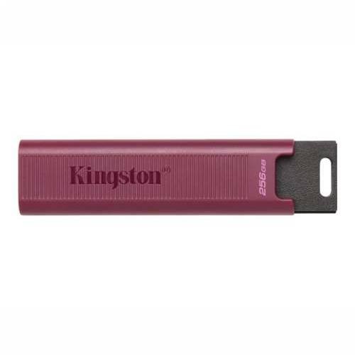 KINGSTON 256GB USB3.2 TypeA DataTraveler Cijena