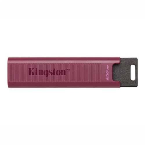 KINGSTON 256GB USB3.2 TypeA DataTraveler Cijena