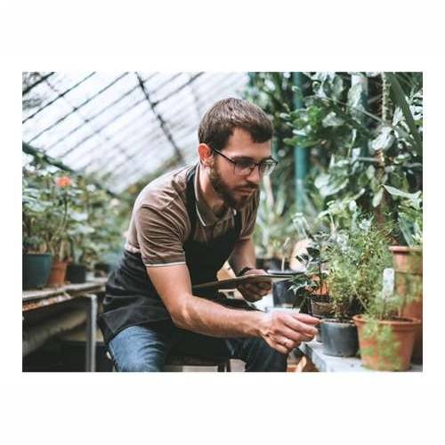 HP LaserJet Pro MFP 4102fdw Printer Cijena