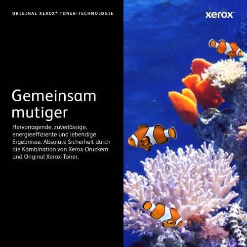 Xerox Toner 106R03923 Black up to 16,900 pages Cijena