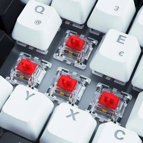 Sharkoon SKILLER SGK50 S3 gaming keyboard - 75% layout, red hot-swap Gateron switches, RGB lighting, QWERTY layout, white Cijena