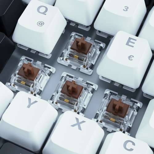 Sharkoon SKILLER SGK50 S3 gaming keyboard - 75% layout, brown hot-swap Gateron switches, RGB lighting, QWERTZ layout, white Cijena