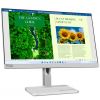 Lenovo L24m-40 60.5cm (23.8") FHD IPS Office Monitor 16:9 HDMI/USB-C PD75W 4ms 100Hz Sync