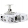 ACER ceiling mount projectors short max